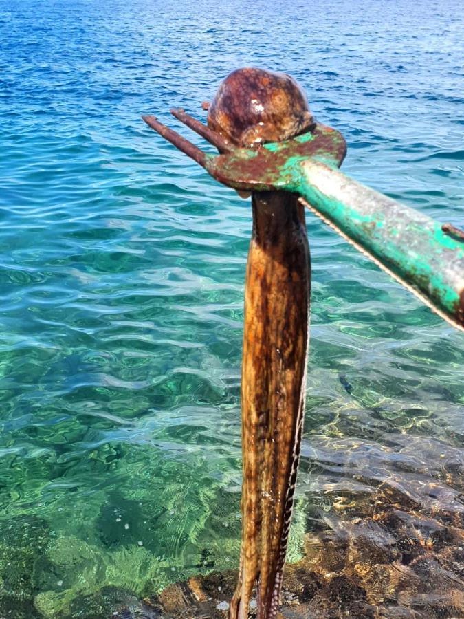 Sea Of Eden Lejlighed Dubrovnik Eksteriør billede