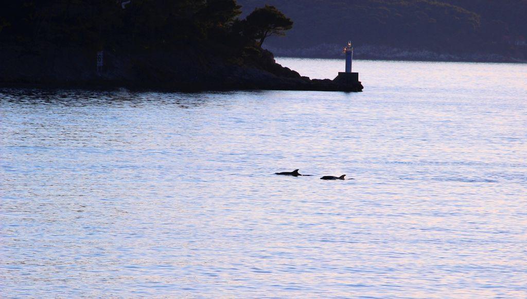 Sea Of Eden Lejlighed Dubrovnik Eksteriør billede