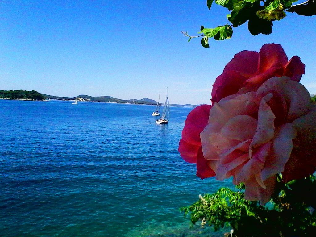 Sea Of Eden Lejlighed Dubrovnik Eksteriør billede